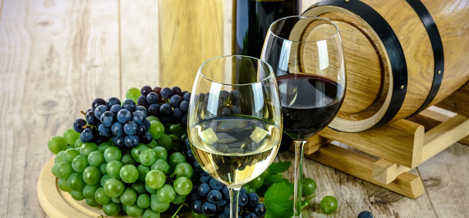 dégustation de vins ljubljana vin rouge et blanc barell